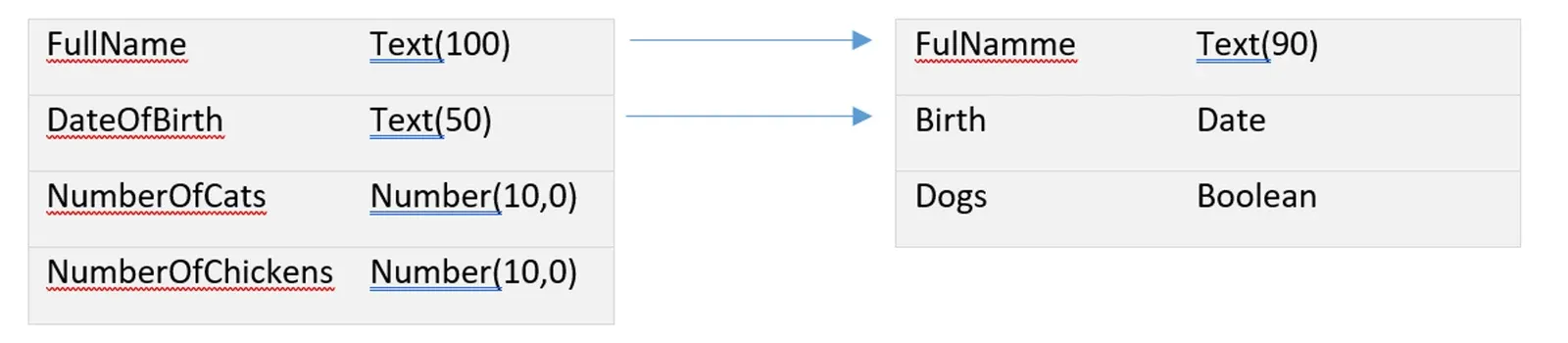 Arrows map FullName Text(100) to FulNamme Text(90), DateOfBirth Text(50) to Birth Date; NumberOfCats, NumberOfChickens and Dogs Boolean stay unmapped