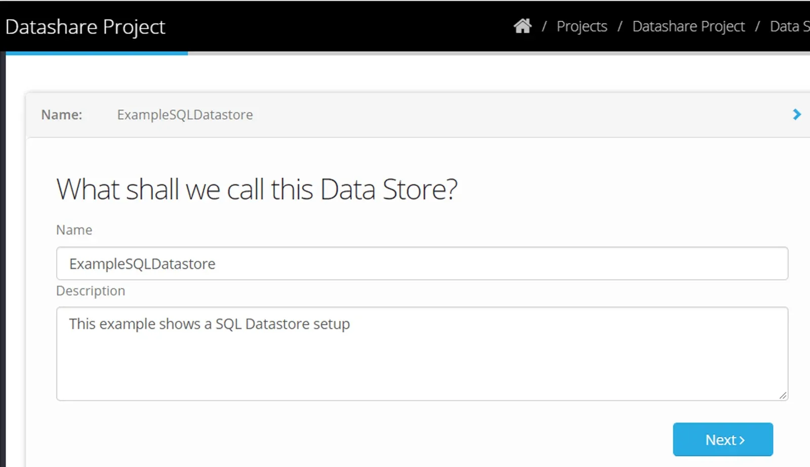 New Data Store step 'What shall we call this Data Store?' with Name and Description fields and the Next button