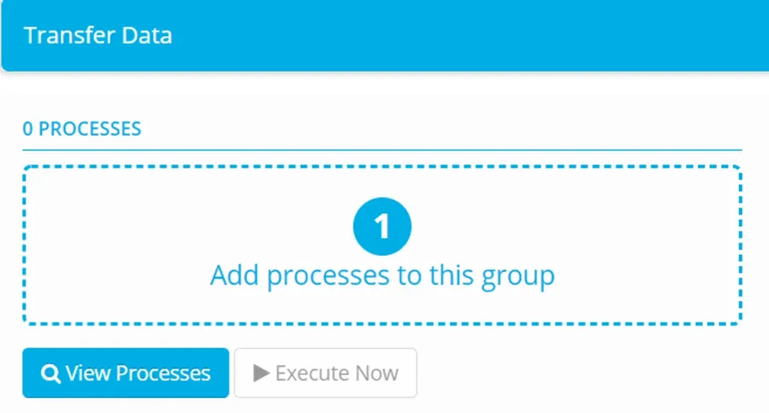Transfer Data process group panel showing 0 processes, the Add processes to this group area and the View Processes button