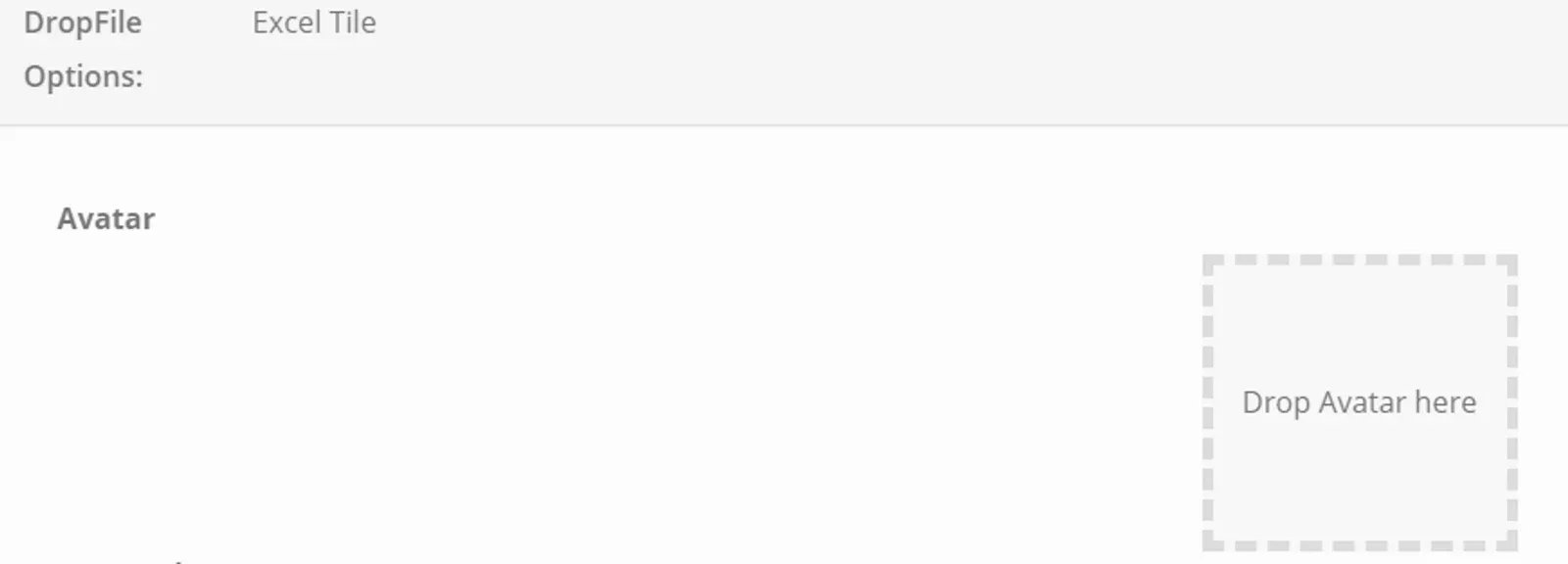 DropFile Options tab Avatar section with the dashed Drop Avatar here upload box